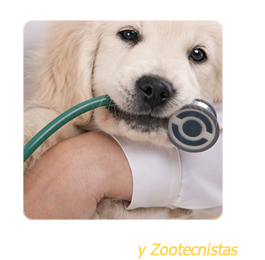 Empleo para Veterinarios, zootecnistas, produccion animal independientes en Bogotá, Medellín, Cali, Barranquilla, Colombia y Latinoamérica